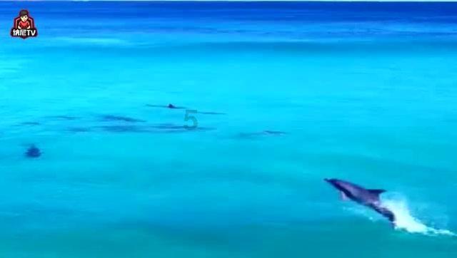加勒比海度假村