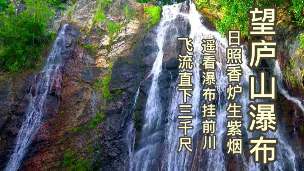PVZ：花园战争2